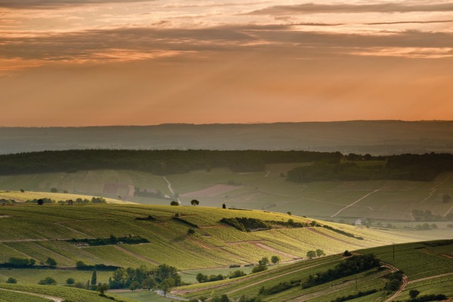 Sancerre Sologne, Loire Val d'Aubois... un territoire sauvage à découvrir