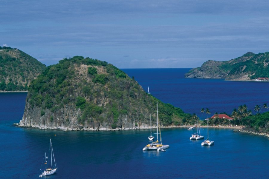 Guadeloupe, l'île papillon aux mille couleurs