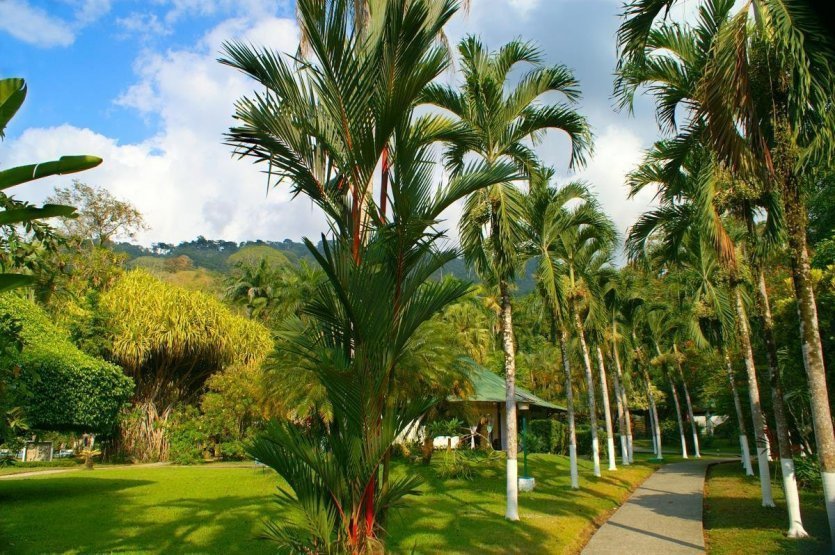 - © VILLAS RÍO MAR