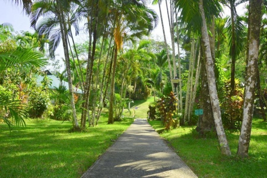 Costa Rica : les jardins tropicaux à l'honneur dans les éco-hôtels