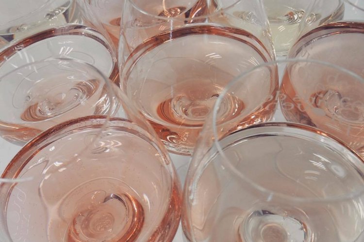 - © CIVP – CONSEIL INTERPROFESSIONNEL DES VINS DE PROVENCE