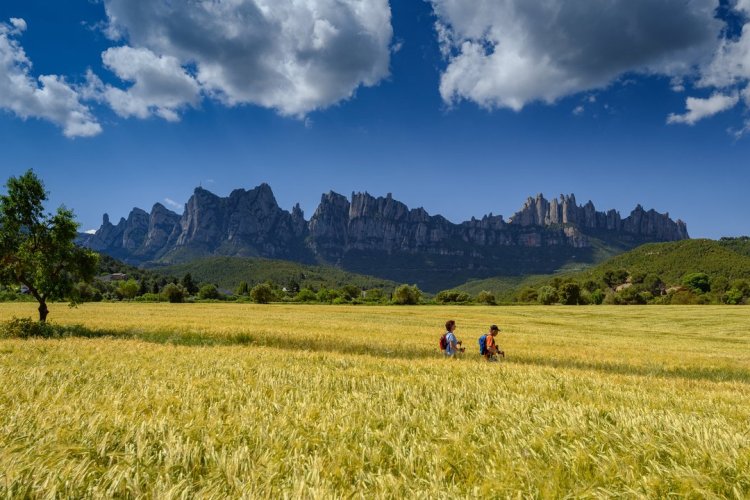 Découvrir l'arrière-pays catalan et ses panoramas idylliques au gré des sentiers du Montserrat. - © S.Boixader