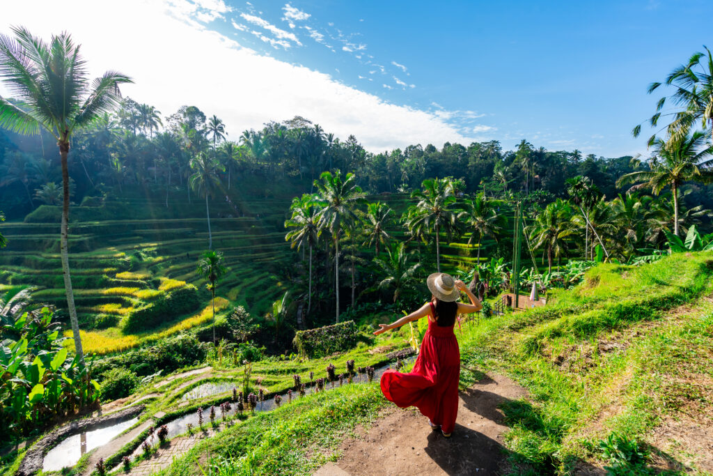 Jeune femme devant les rizières d'Ubud