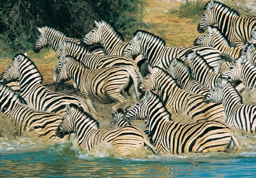 - © South African Tourism