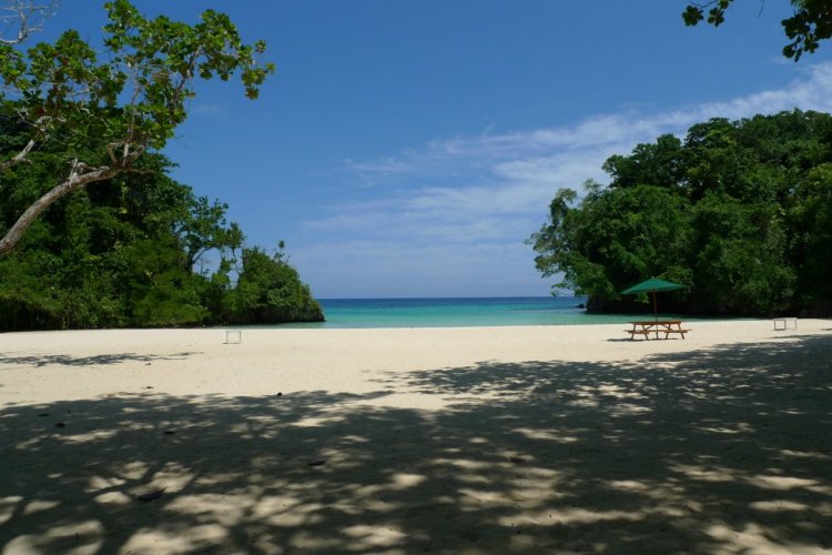 La plage de Frenchman's Cove. - © Charline REDIN