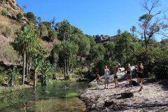 Madagascar : découvrez la piscine naturelle dans l'Isalo