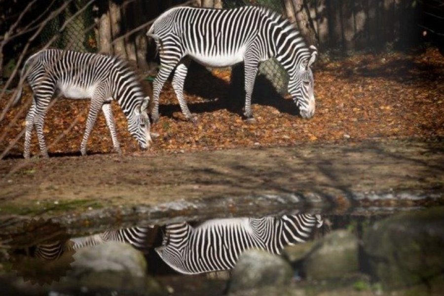 150 ans du Parc zoologique et botanique de Mulhouse