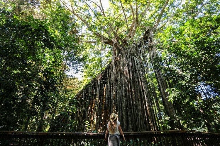 - © Tourism & Events Queensland