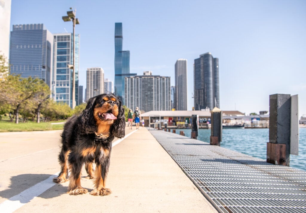 Lakefront Trail