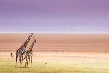 guide de voyage, - © Curioso - Shutterstock.com