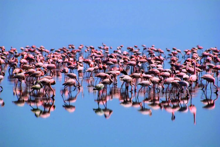 - © iStockphoto.com_sburel