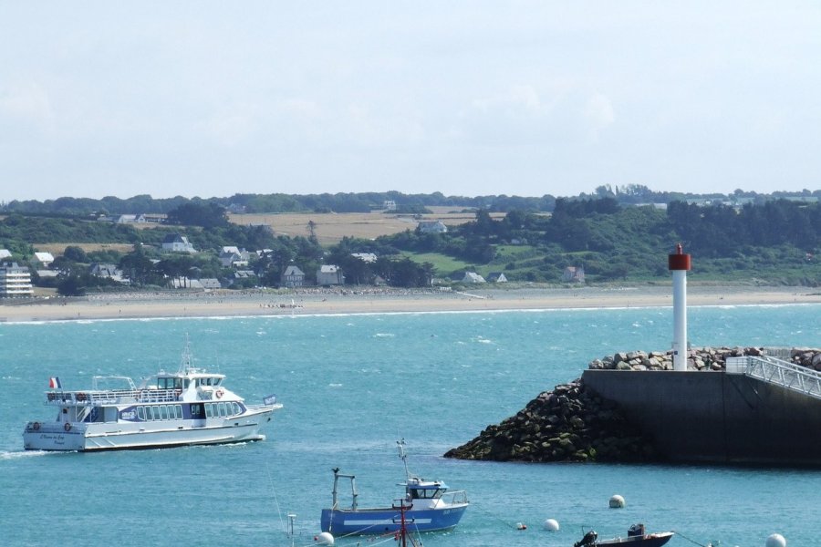 Balade commentée au large du Cap Fréhel