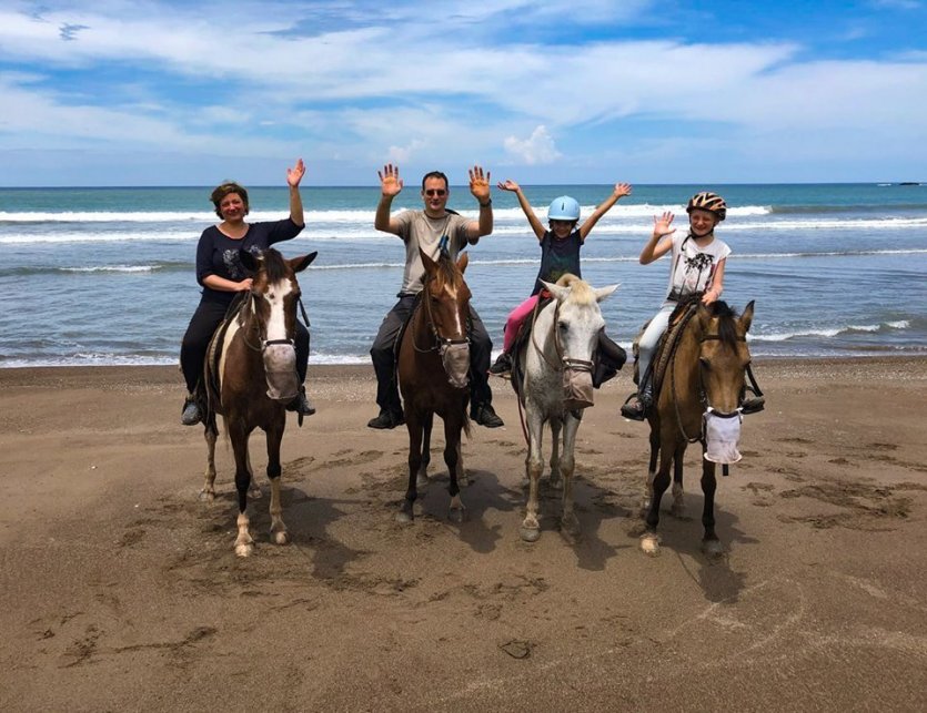 - © HORSE JUNGLE