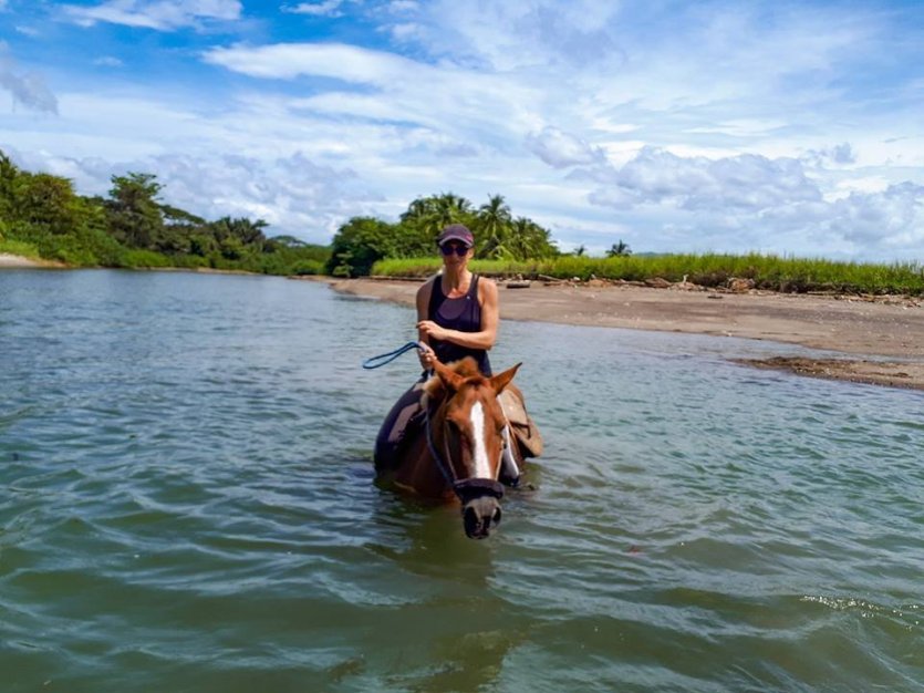 - © HORSE JUNGLE