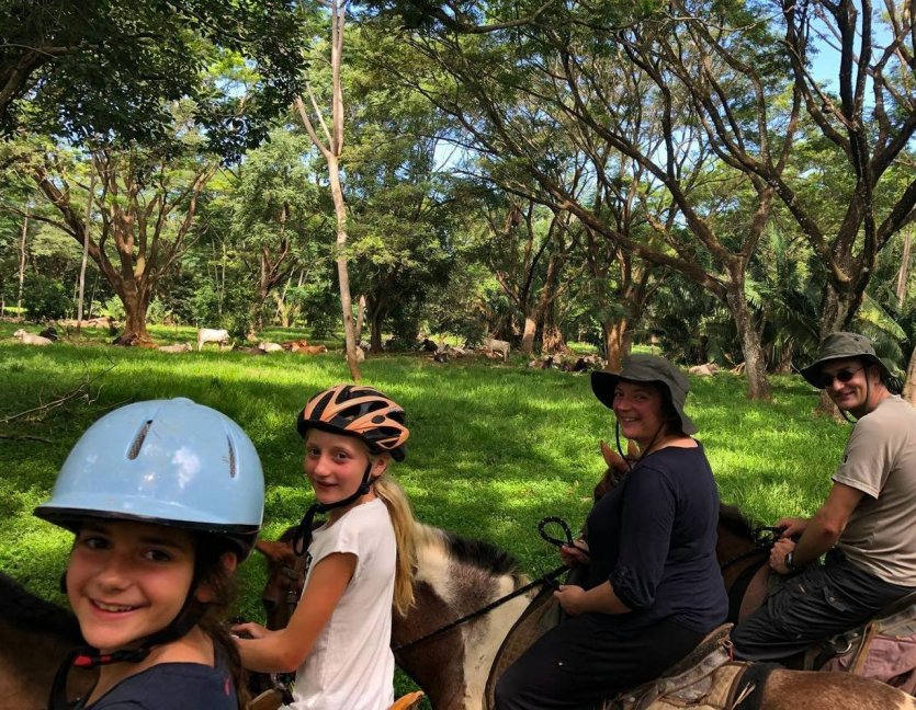 - © HORSE JUNGLE