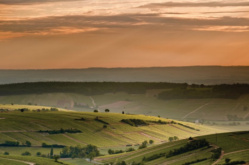 Sancerre. - © Quisait - iStockphoto