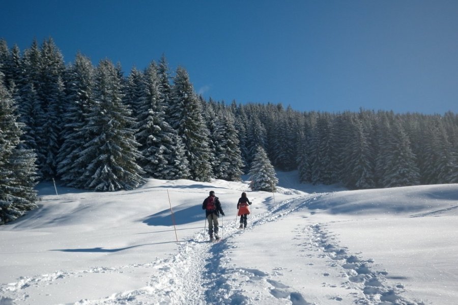 Les Hautes-Pyrénées, pèlerinage à Lourdes et balades en montagne