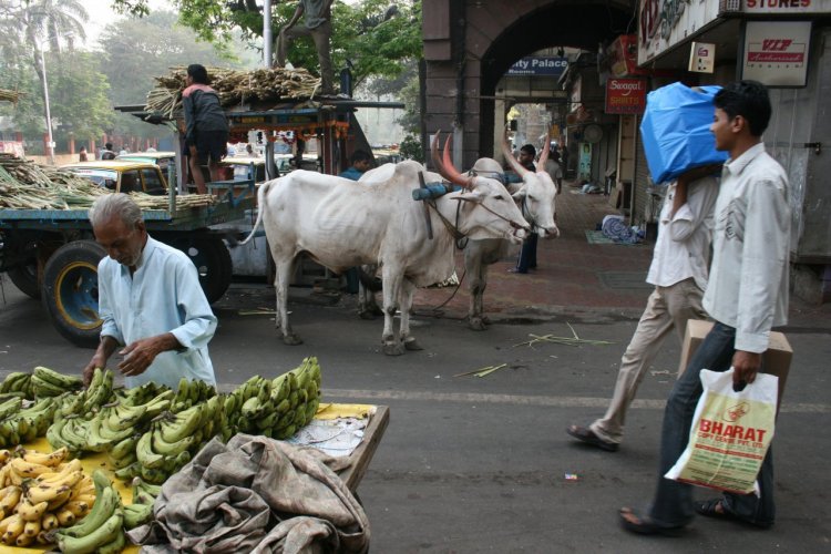 Dans les rues de Colaba. - © Pascal Mannaerts – www.parcheminsdailleurs.com