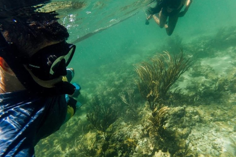 - © ECLYPSE DE MAR ACQUA LODGE
