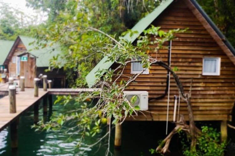- © HACIENDA TIJAX - JUNGLE LODGE & MARINA