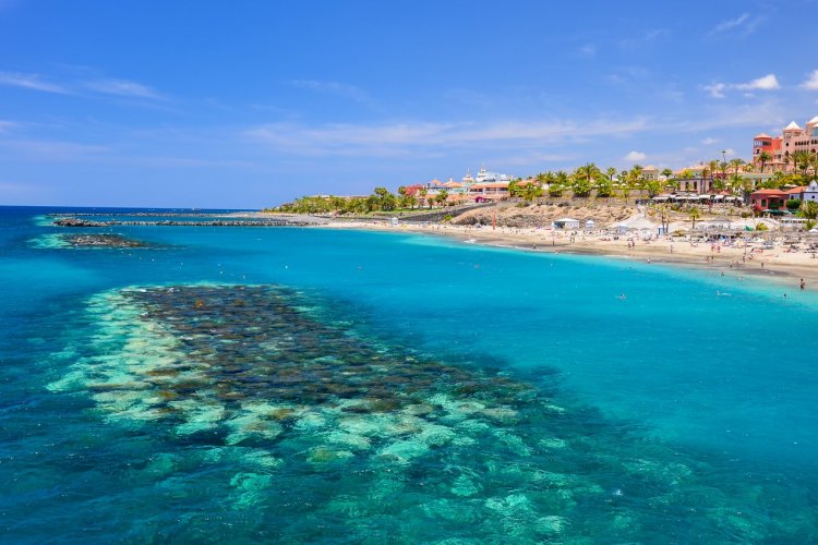 Plage de El Duque, Tenerife. - © Pawel Kazmierczak - Shutterstock.com