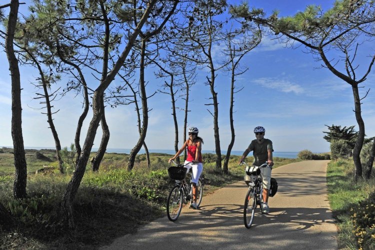 Côte nord de la forêt d'Olonne - © La Vélodyssée - J.Damase
