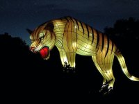 1ER FESTIVAL DES LUMIÈRES AU JARDIN DES PLANTES DE PARIS
