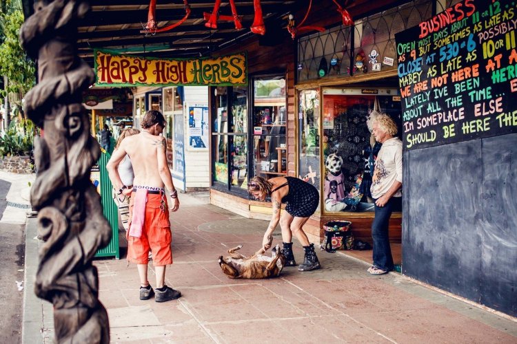 Nimbin - © Andrey Bayda - Shutterstock.com