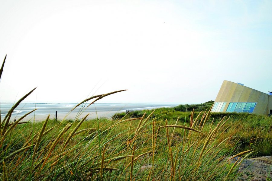 Utah Beach et le Musée du débarquement, l'Histoire en vrai