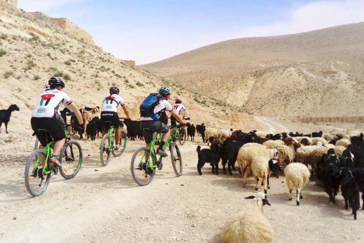 Sur le Jordan Bike Trail entre Pétra et Wadi Rum - © Florie THIELIN