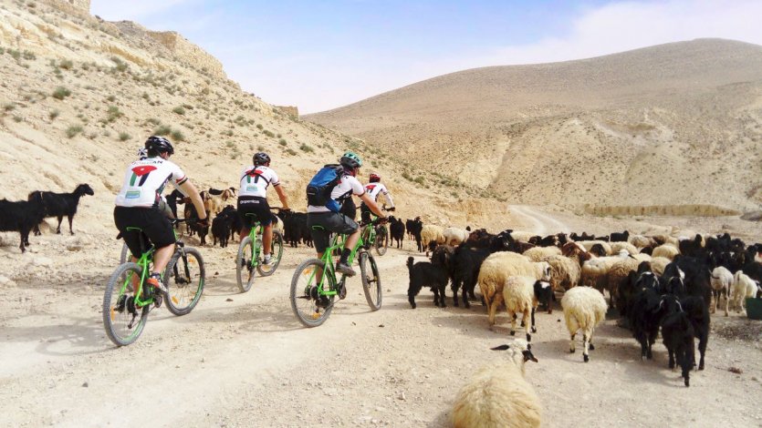 Sur le Jordan Bike Trail entre Pétra et Wadi Rum - © Florie THIELIN