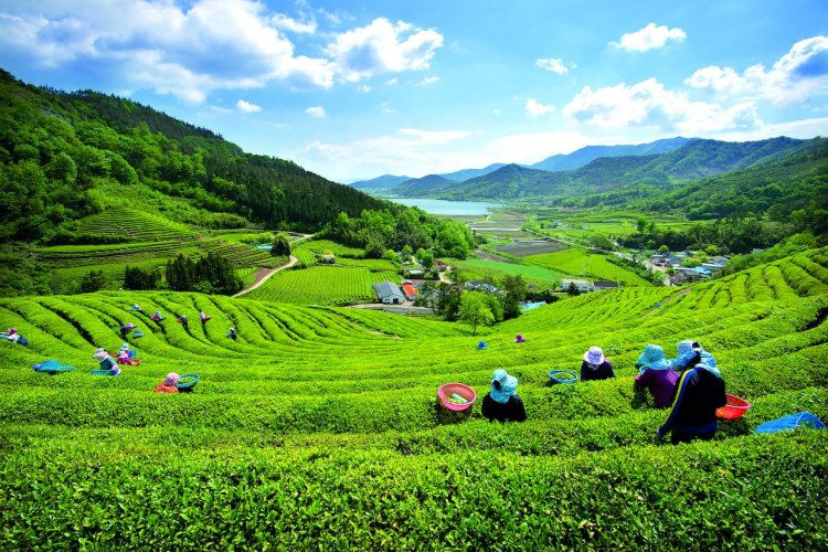 - © KOREA TOURISM ORGANIZATION