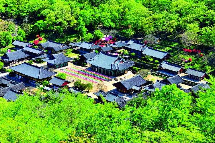 - © KOREA TOURISM ORGANIZATION