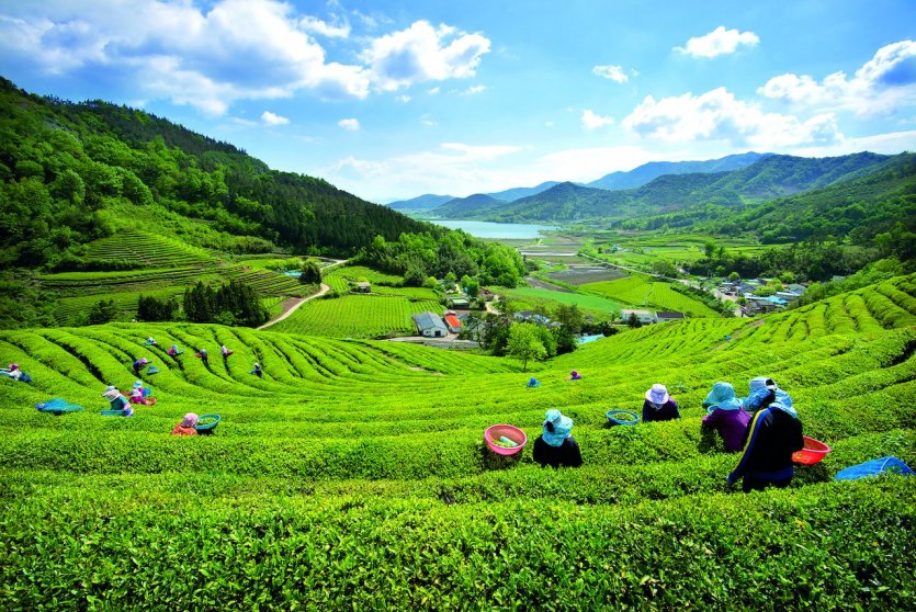 - © KOREA TOURISM ORGANIZATION