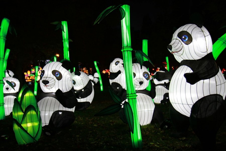 Un festival des lanternes unique à Calais