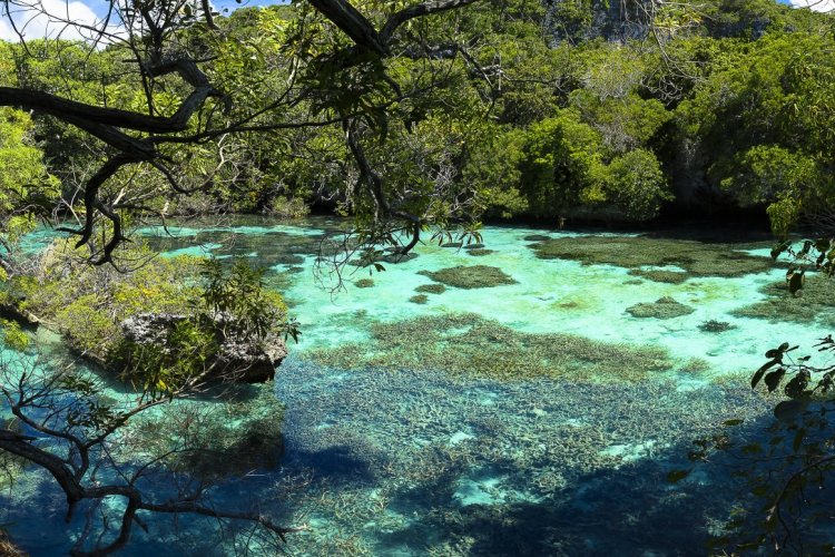 L'Aquarium naturel de Tadine. - © Daniel Maviet - Fotolia