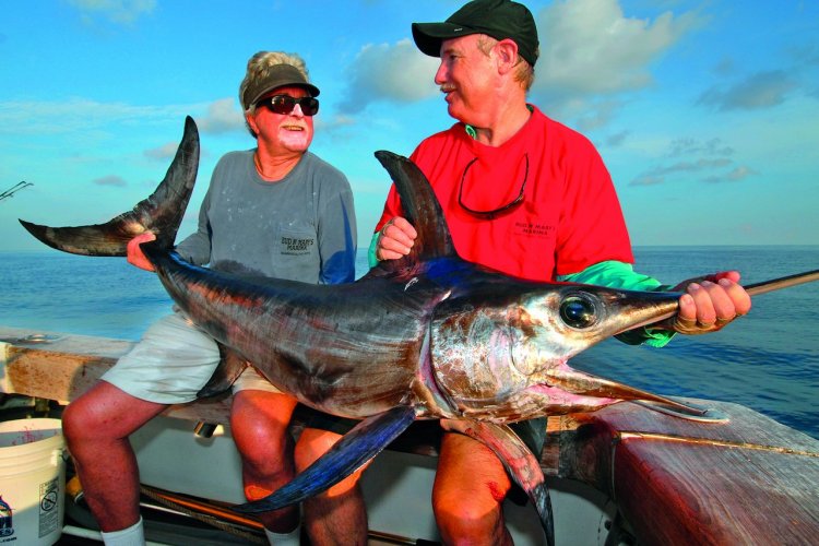 - © Andy Newman / Florida Keys News bureau