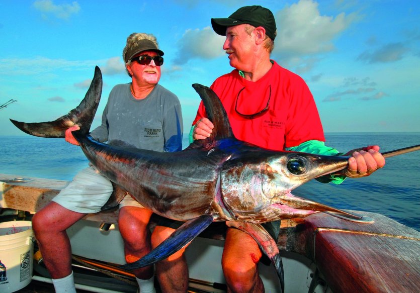- © Andy Newman / Florida Keys News bureau