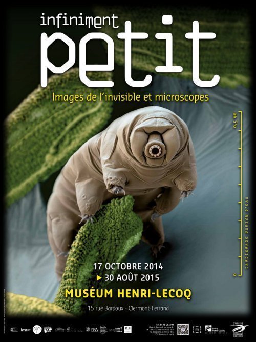 - © Musée Henri Lecoq - Infiniment Petit