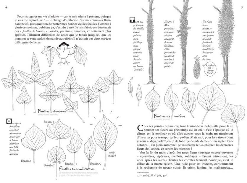 conseil de lecture la hulotte nous met au vert france