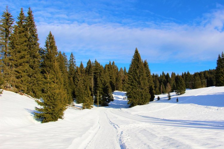 Les Rousses - © LoveMountains - Shutterstock.com