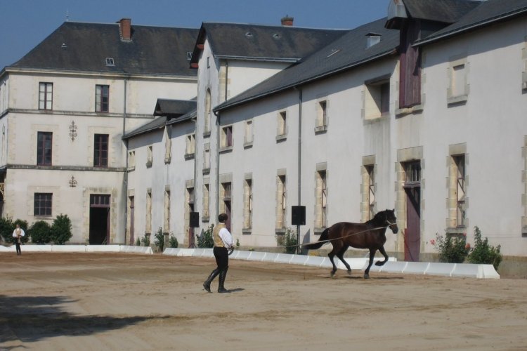 Haras de la Vendée. - © Conseil général de la Vendée