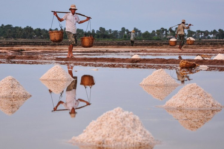 Les marais salants de Kampot - © Phuong D. Nguyen - Shutterstock.com