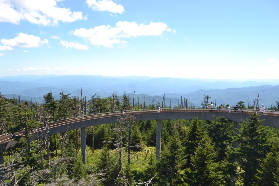 Au sommet du Clingmans Dome