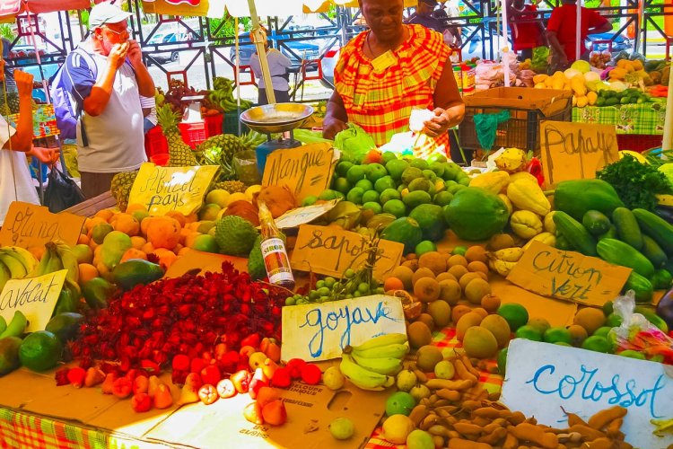 Solarisys - © Guadeloupe - Marché de Pointe à Pitre