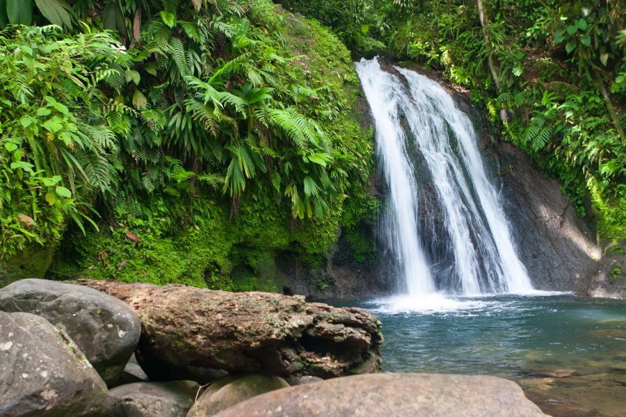 Guadeloupe - Cascade aux Ecrevisses