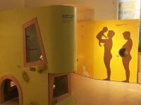 Le museum de Bordeaux : réouverture le 30 mars 2019