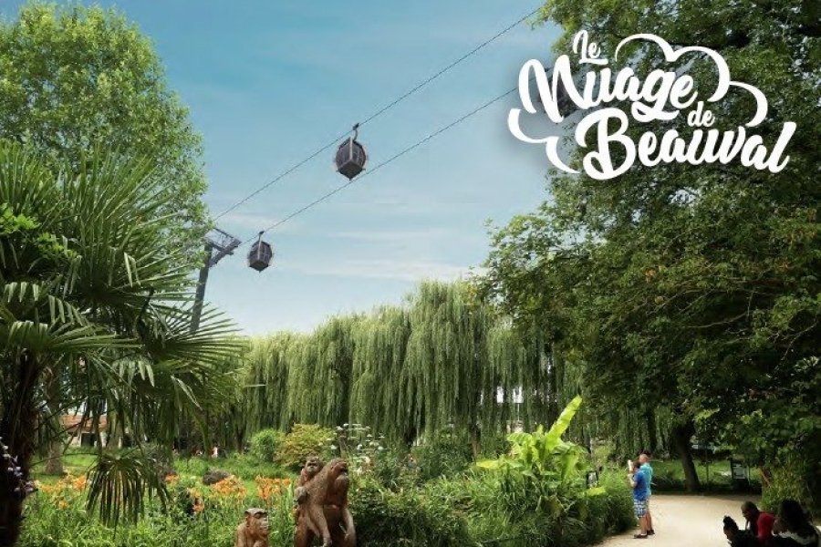 LE zoo de Beauval inaugure sa télécabine : le nuage de Beauval !