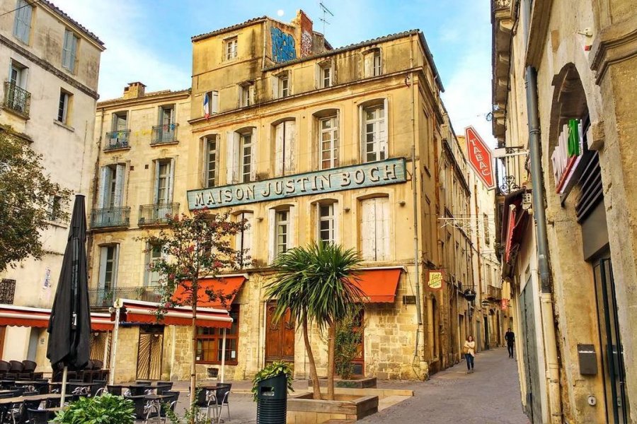 Visiter Montpellier hors saison, une ville qui brille toute l'année