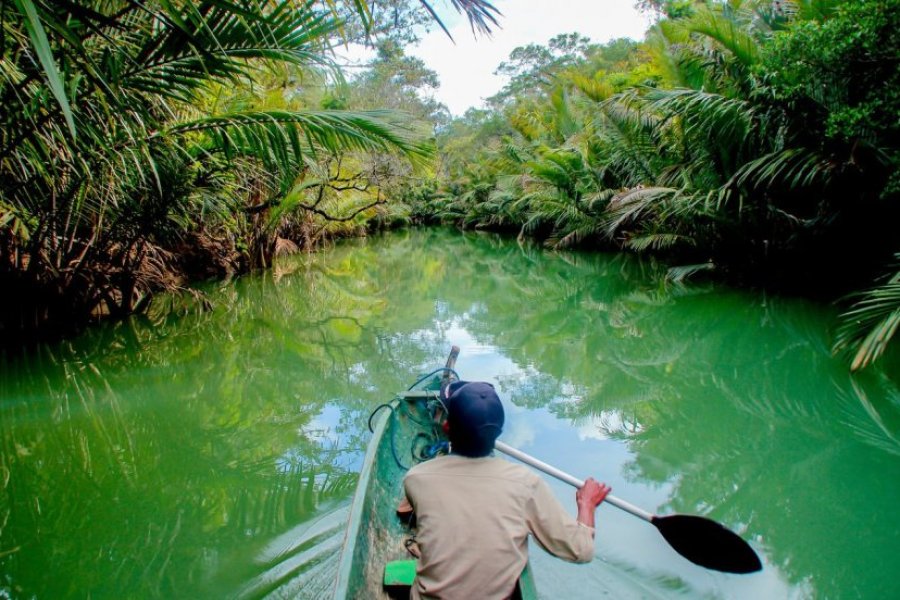 Le parc national d'Ujung Kulon